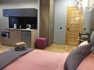Апартаменты Tomas apartments Киев Улучшенный номер-студио-5